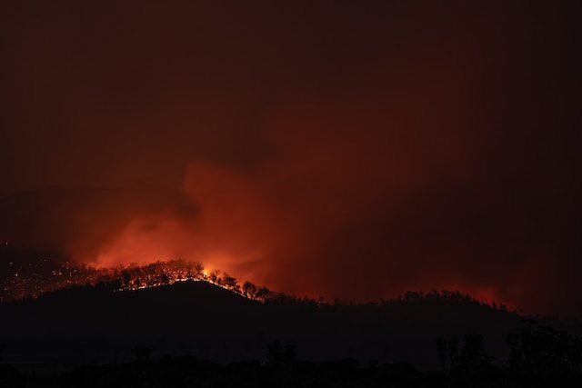 Areas burnt in Black Summer bushfire prone again - InsuranceNews.com.au